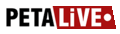 Loading logo